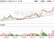 国投资本：石澜辞去公司董事职务