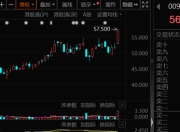 大幅加仓，连续14周净买入！资金涌向这些股，芯片龙头成交居首