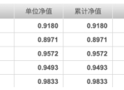 封闭期结束净值接连重挫，建仓节奏成谜，申万菱信行业精选混合基金陷“过山车式”开局