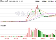 叶飞案判决书：实控人参与操纵腾龙股份股价，还牵涉今麦郎创始人之子