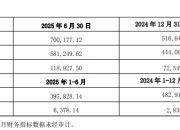 富临精工携手宁德时代向江西升华增资35.6亿元