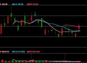 紫金黄金国际涨逾8% 摩根士丹利称当前估值具有吸引力