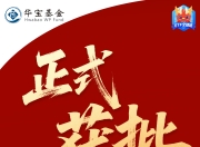 重磅！事关十五五规划硬科技主线|华宝上证科创板芯片ETF火线获批