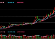 券商12月“金股”名单出炉 看好后市行情向上突破