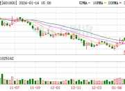 中国交建：公司将根据市场情况，稳步推进包括欧盟在内的海外市场布局