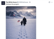 白宫发特朗普在格陵兰岛牵企鹅AI图，网友“惊呆”：格陵兰岛没有企鹅啊……