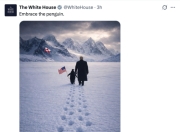 白宫发特朗普在格陵兰岛牵企鹅AI图，网友“惊呆”：格陵兰岛没有企鹅啊……