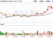 海兴电力：1月份公司未实施回购