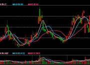 1200亿大单涉嫌误导性陈述，容百科技被重罚！