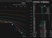 0.40元/股，锁定退市