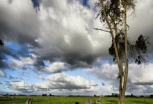 房县黄酒的酿造工艺与步骤（2024详细教程）