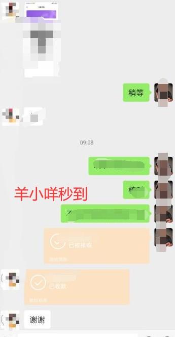 羊小咩额度最新套法？详细操作一步到账（2024最新教程） 第2张