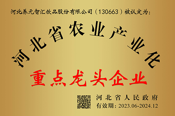 六个核桃连续多次被认定为河北省农业产业化重点龙头企业 第1张