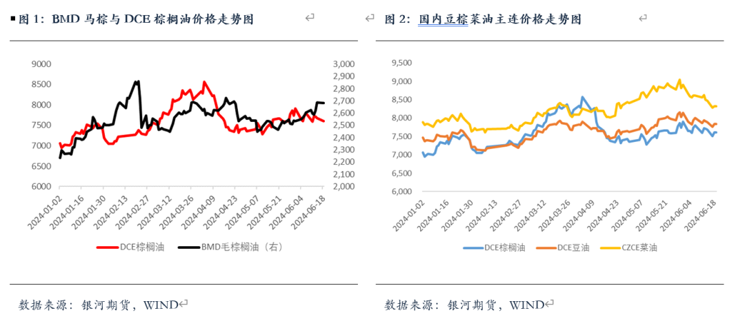 【油脂半年报】矛盾暂无的油脂，未来何去何从？ 第2张