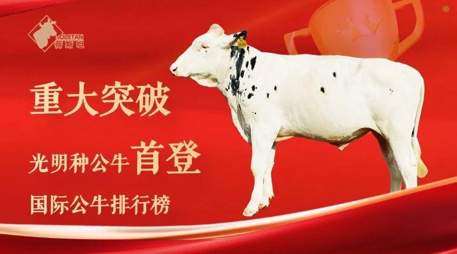 营收利润双稳健！光明乳业 2025 半年报彰显全链创新硬实力 第2张