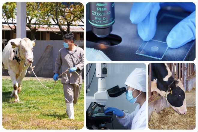 营收利润双稳健！光明乳业 2025 半年报彰显全链创新硬实力 第3张