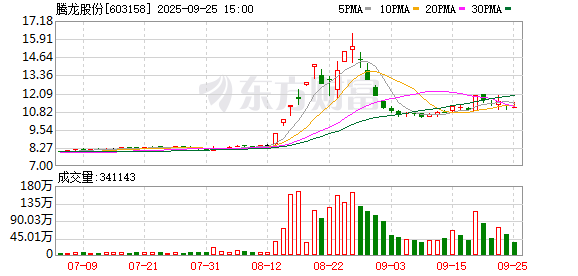 叶飞案判决书：实控人参与操纵腾龙股份股价，还牵涉今麦郎创始人之子 第1张