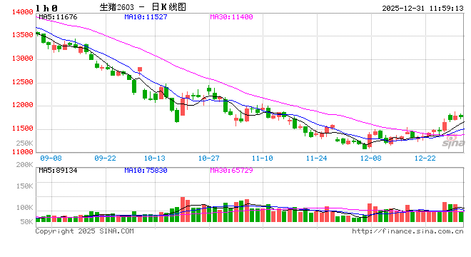 东海期货：2026年生猪投资策略报告 第2张