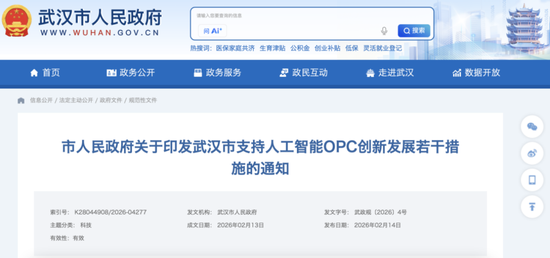 利好来了！事关人工智能，武汉最新发文 第1张
